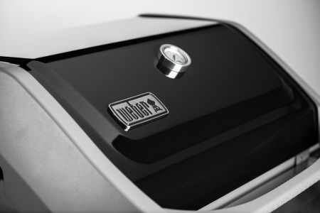 weber spirit ii e-310 gbs фото